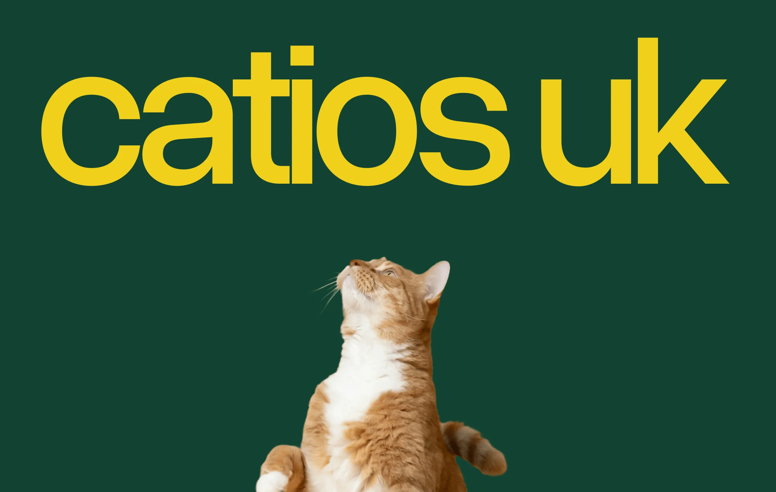 Catios UK