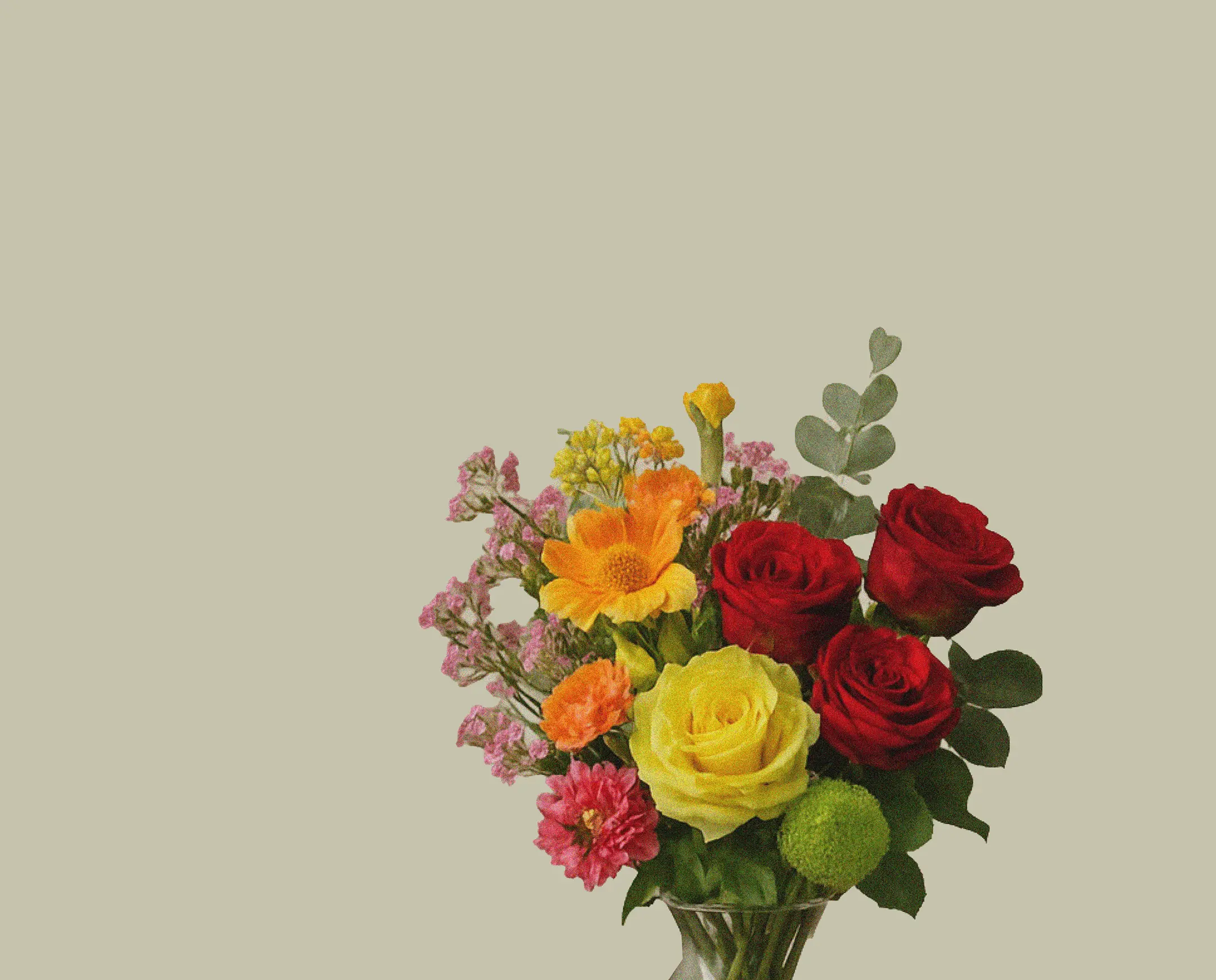 Bloom & Bloom